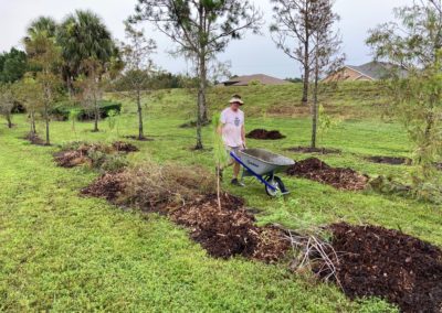 Plant Trees Volunteering in Cape Coral FL